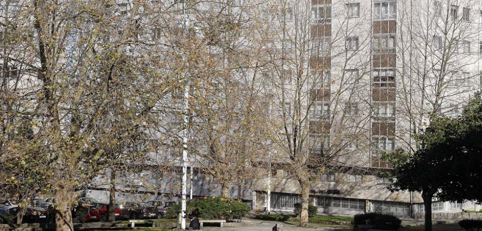 El Ayuntamiento podará los árboles de la plaza de Salvador de Madariaga